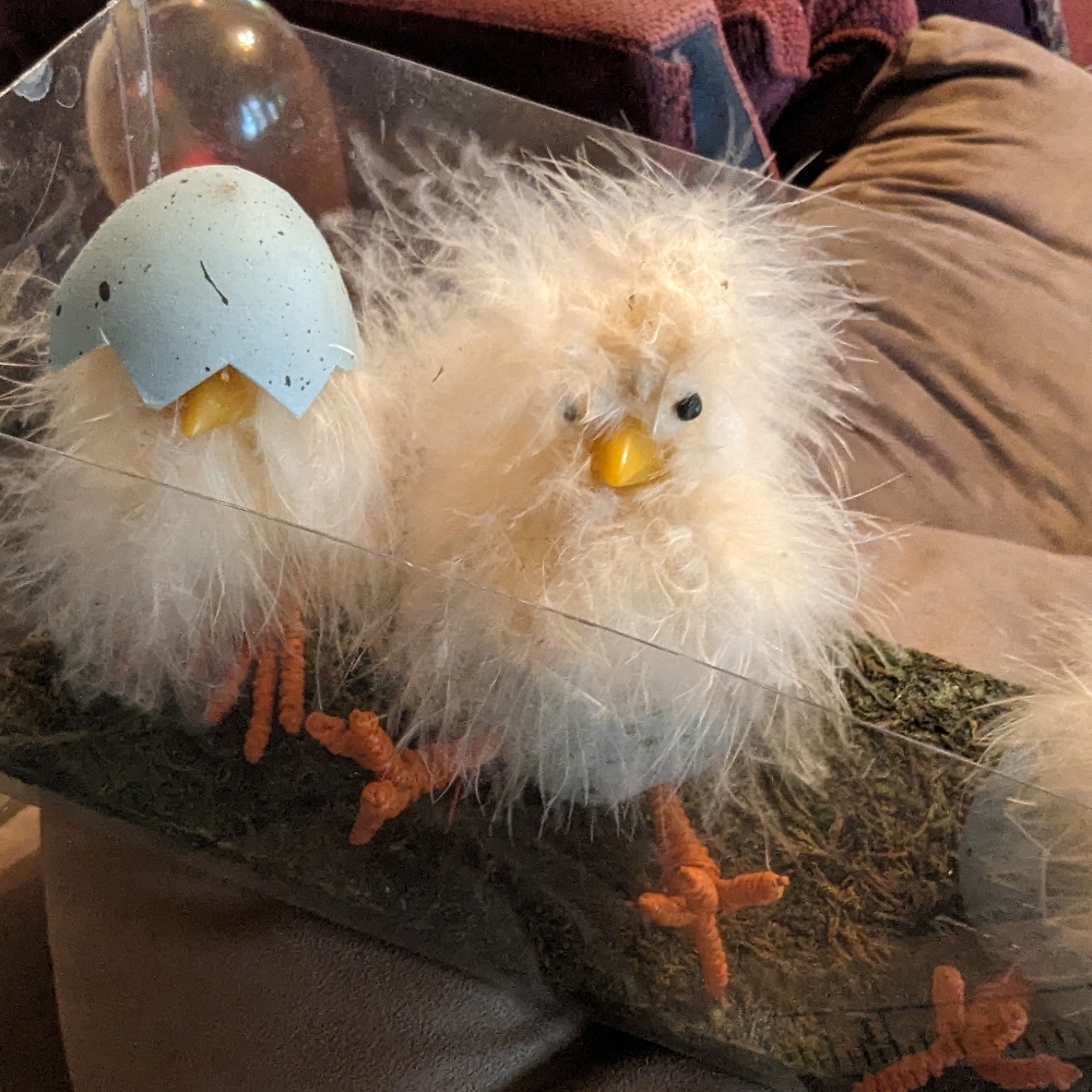 Adorable baby chicks (4) decor. Get the set in box. Furry. - Picture 4 of 4